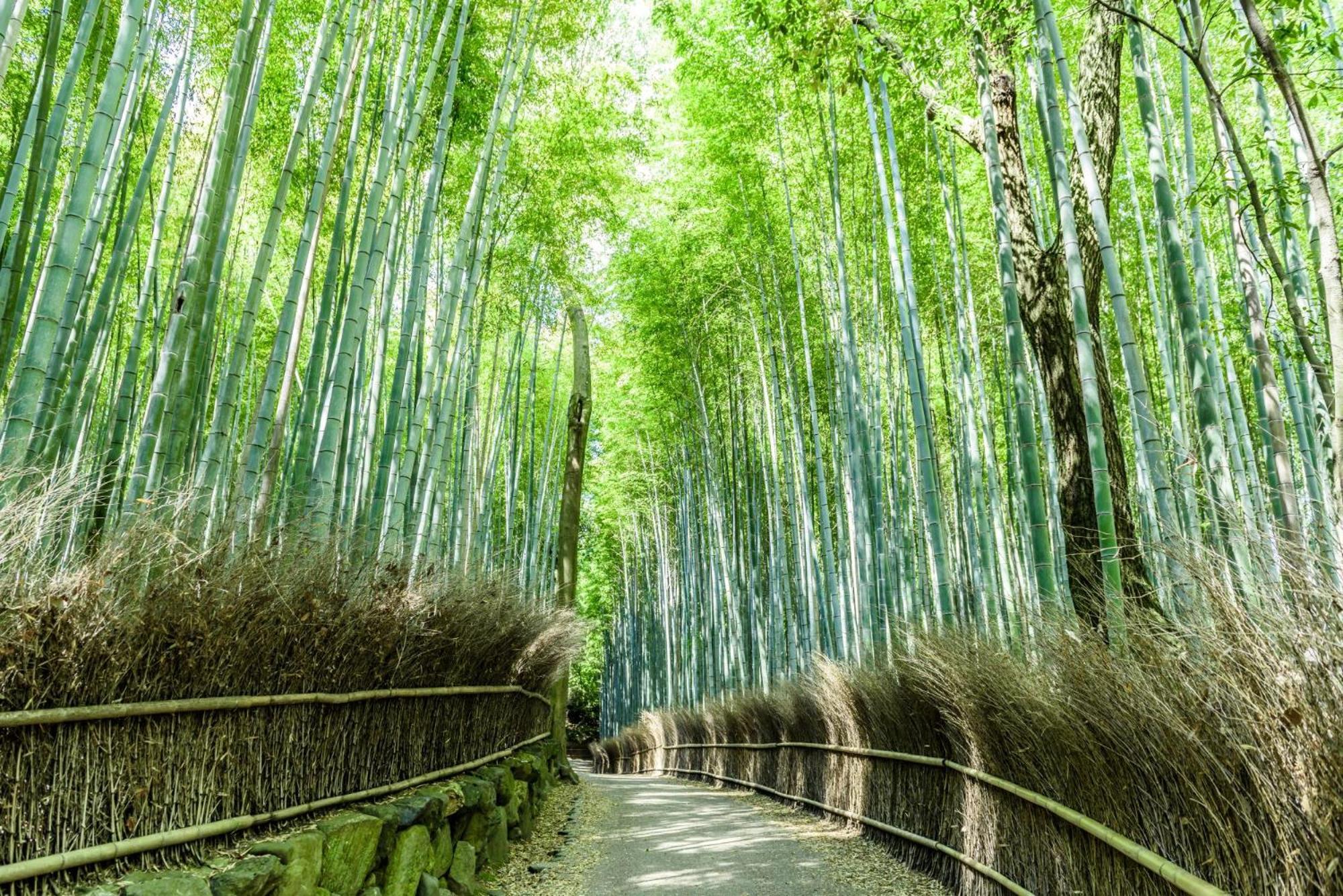 Hotel Mimaru Kyoto Nishinotoin Takatsuji Exterior foto